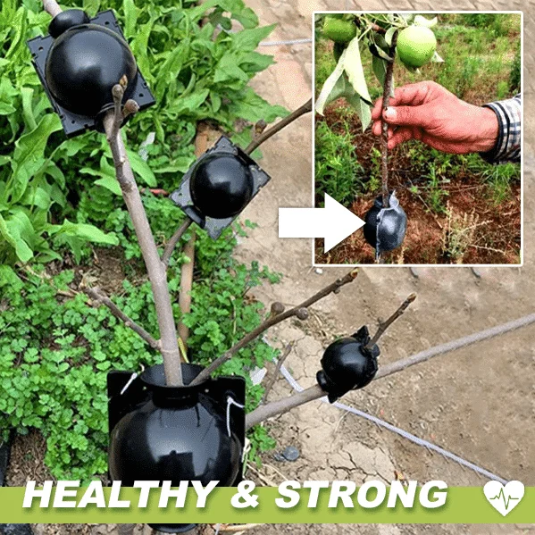 Škatle za rastline za plastenje zraka 3 KOS - Image 2