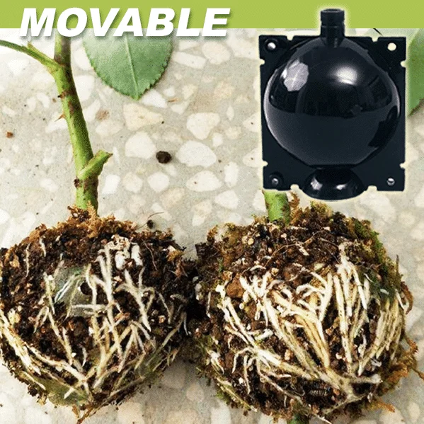 Škatle za rastline za plastenje zraka 3 KOS - Image 5