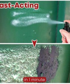 Odstranjevalec barve in laka ControlZ